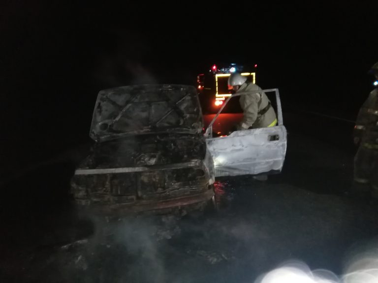 В Бутурлиновском районе на дороге сгорел автомобиль